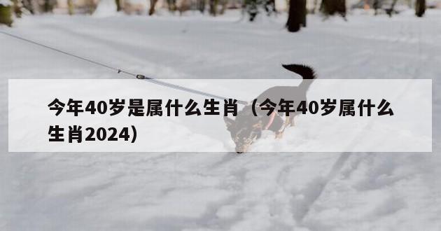 今年40岁是属什么生肖（今年40岁属什么生肖2024）