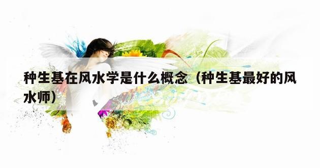 种生基在风水学是什么概念（种生基最好的风水师）