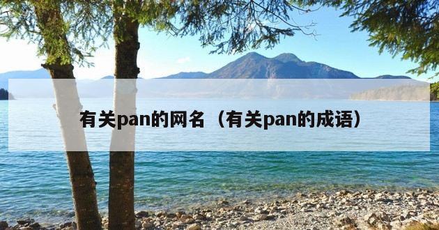 有关pan的网名（有关pan的成语）