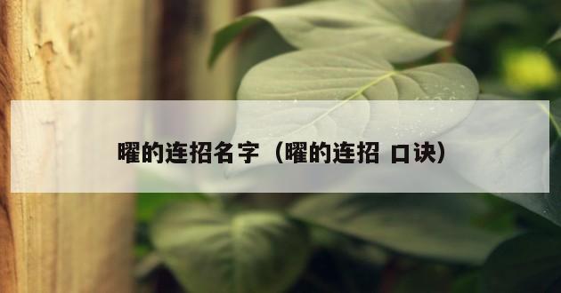 曜的连招名字（曜的连招 口诀）