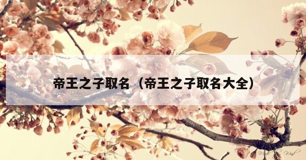 帝王之子取名（帝王之子取名大全）