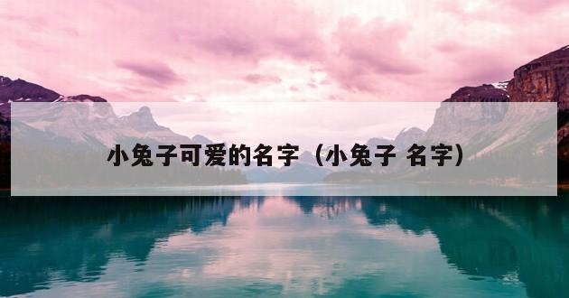 小兔子可爱的名字（小兔子 名字）