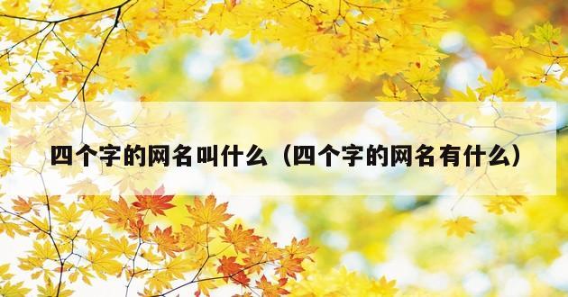 四个字的网名叫什么（四个字的网名有什么）