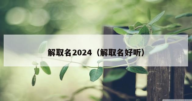 解取名2024（解取名好听）