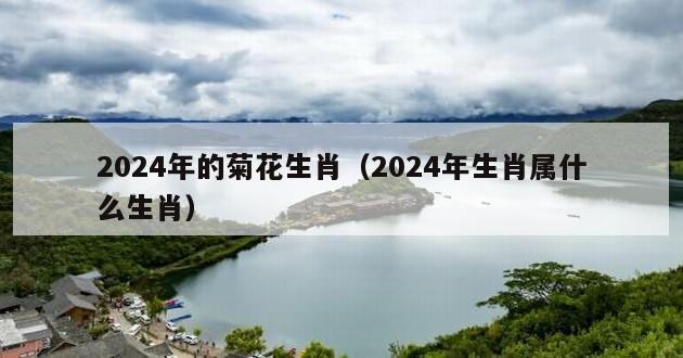 2024年的菊花生肖（2024年生肖属什么生肖）