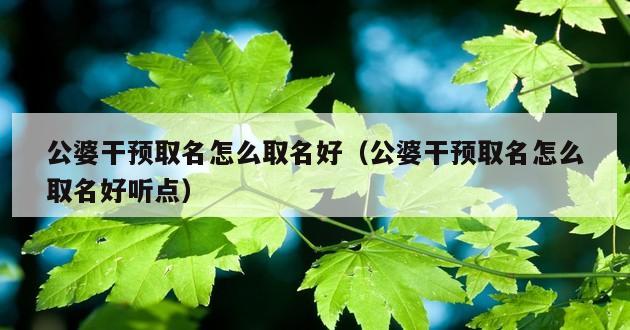 公婆干预取名怎么取名好（公婆干预取名怎么取名好听点）