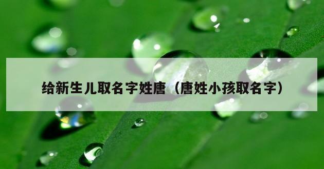 给新生儿取名字姓唐（唐姓小孩取名字）