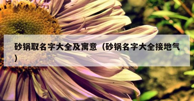 砂锅取名字大全及寓意（砂锅名字大全接地气）