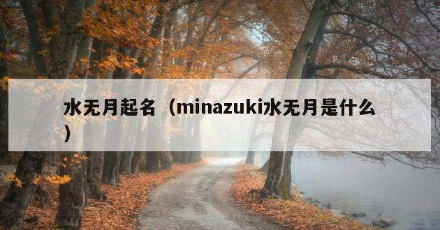 水无月起名（minazuki水无月是什么）