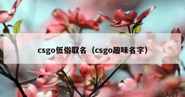 csgo低俗取名（csgo趣味名字）