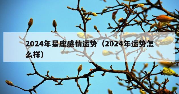 2024年星座感情运势（2024年运势怎么样）