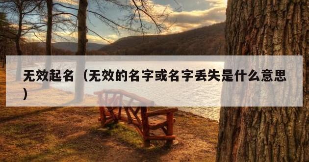 无效起名（无效的名字或名字丢失是什么意思）