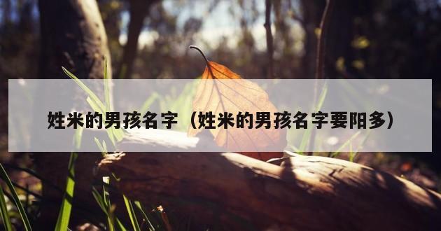 姓米的男孩名字（姓米的男孩名字要阳多）