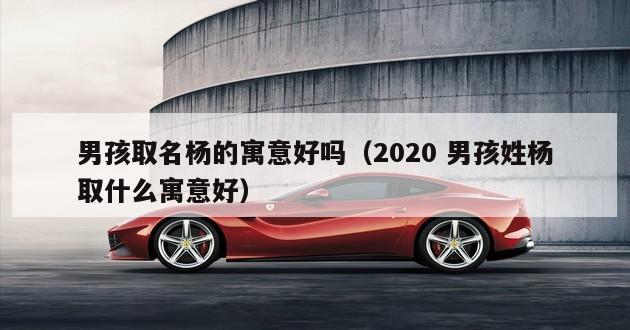 男孩取名杨的寓意好吗（2020 男孩姓杨取什么寓意好）