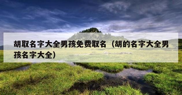 胡取名字大全男孩免费取名（胡的名字大全男孩名字大全）