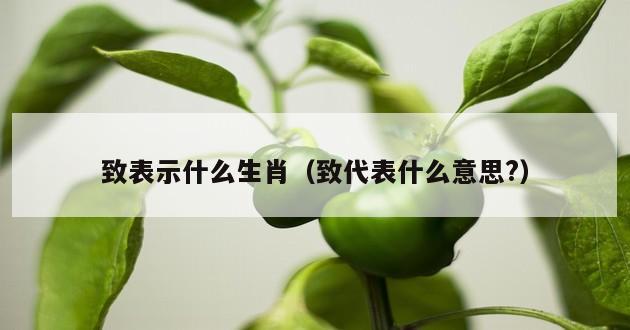 致表示什么生肖（致代表什么意思?）