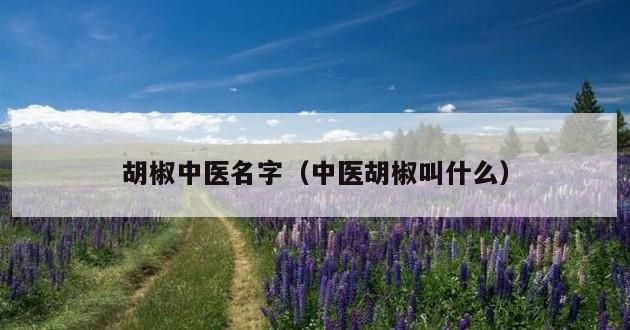 胡椒中医名字（中医胡椒叫什么）