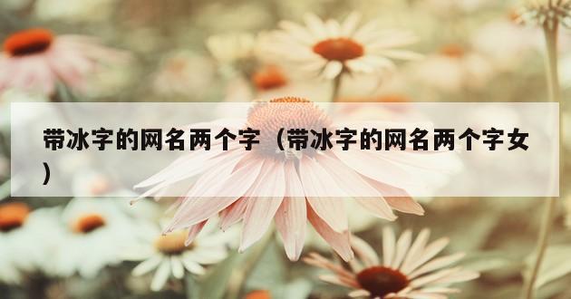 带冰字的网名两个字（带冰字的网名两个字女）