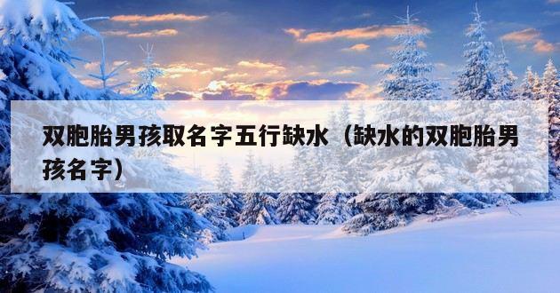 双胞胎男孩取名字五行缺水（缺水的双胞胎男孩名字）