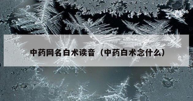 中药网名白术读音（中药白术念什么）