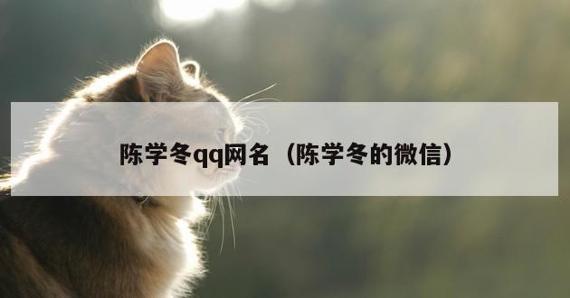 陈学冬qq网名（陈学冬的微信）