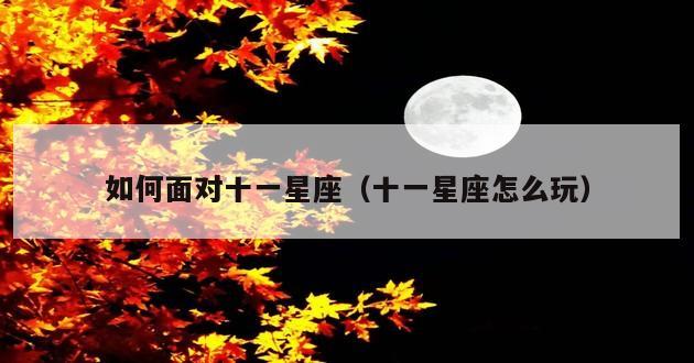 如何面对十一星座（十一星座怎么玩）