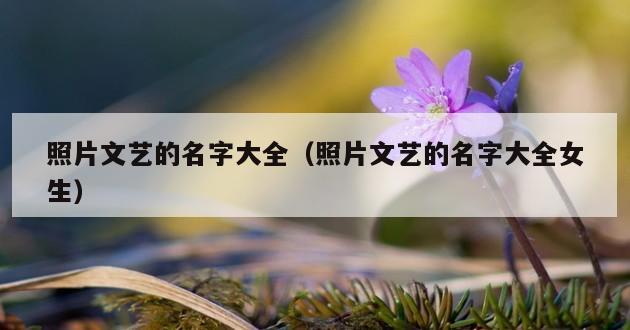 照片文艺的名字大全（照片文艺的名字大全女生）