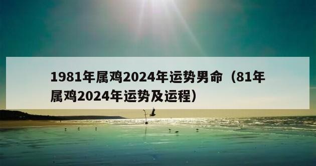 1981年属鸡2024年运势男命（81年属鸡2024年运势及运程）