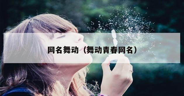 网名舞动（舞动青春网名）