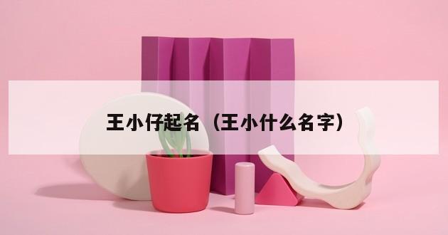 王小仔起名（王小什么名字）