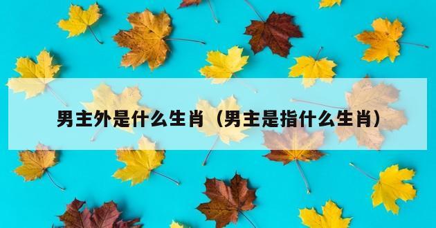 男主外是什么生肖（男主是指什么生肖）