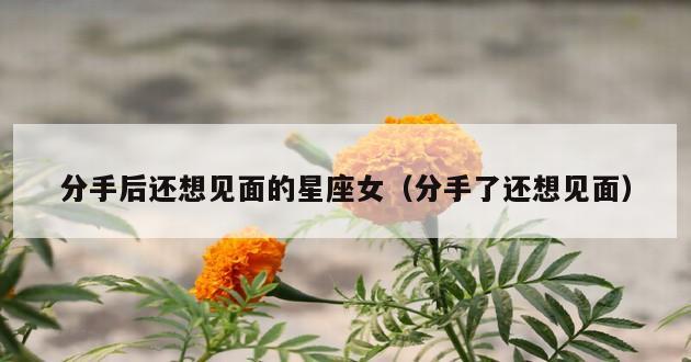 分手后还想见面的星座女（分手了还想见面）