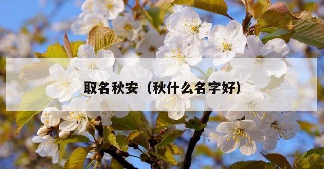 取名秋安（秋什么名字好）