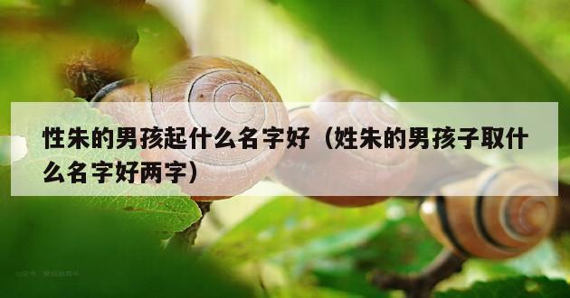 性朱的男孩起什么名字好（姓朱的男孩子取什么名字好两字）