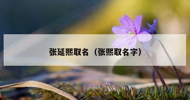 张延熙取名（张熙取名字）