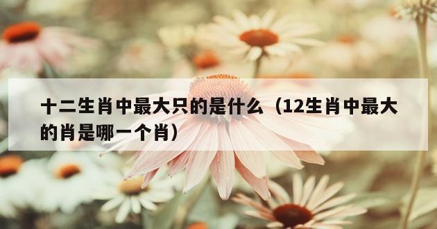 十二生肖中最大只的是什么（12生肖中最大的肖是哪一个肖）