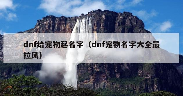 dnf给宠物起名字（dnf宠物名字大全最拉风）