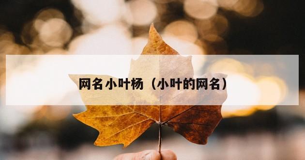 网名小叶杨（小叶的网名）