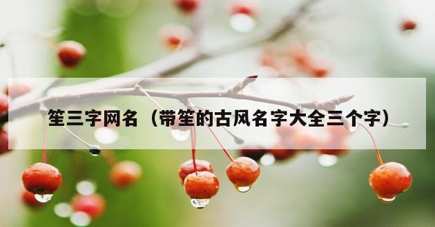 笙三字网名（带笙的古风名字大全三个字）