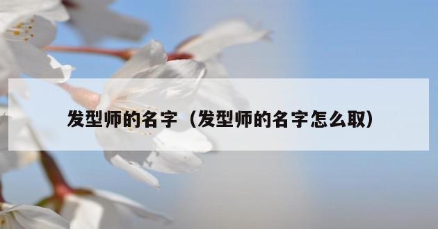 发型师的名字（发型师的名字怎么取）