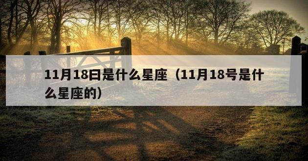 11月18曰是什么星座（11月18号是什么星座的）