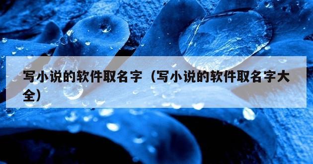 写小说的软件取名字（写小说的软件取名字大全）