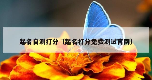 起名自测打分（起名打分免费测试官网）