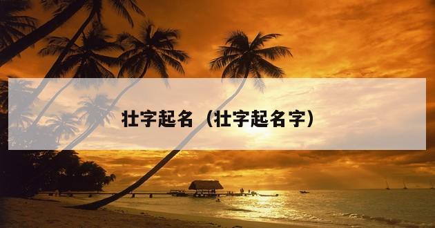 壮字起名（壮字起名字）