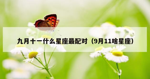 九月十一什么星座最配对（9月11啥星座）