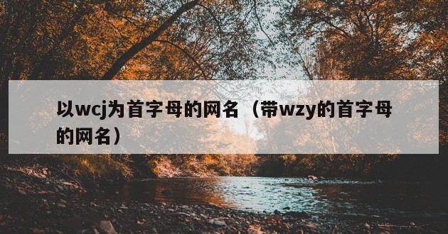 以wcj为首字母的网名（带wzy的首字母的网名）