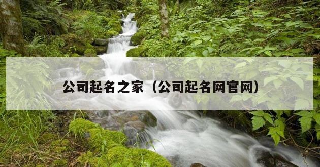 公司起名之家（公司起名网官网）