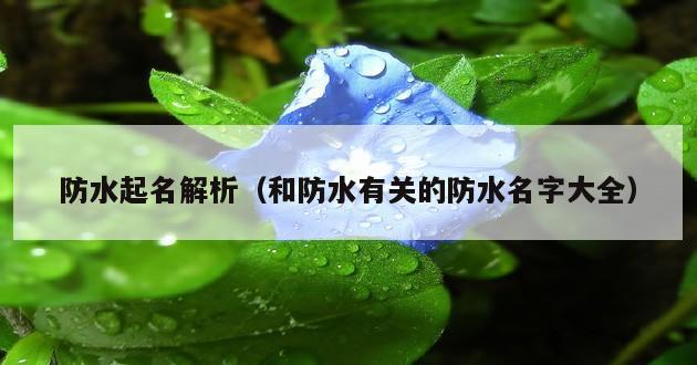 防水起名解析（和防水有关的防水名字大全）