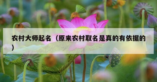 农村大师起名（原来农村取名是真的有依据的）