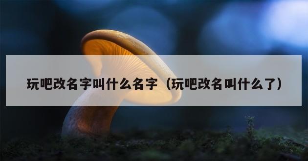 玩吧改名字叫什么名字（玩吧改名叫什么了）